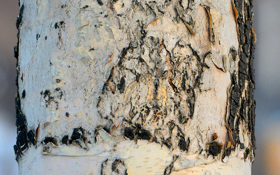 ��������Ȥͼ (2)������ֻ.jpg