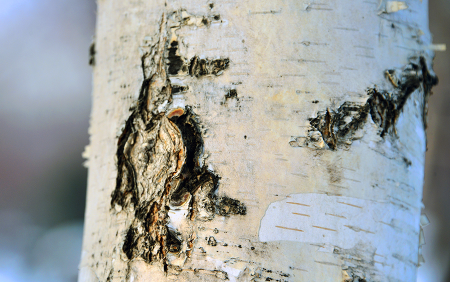 ��������Ȥͼ (4)�糾����.jpg