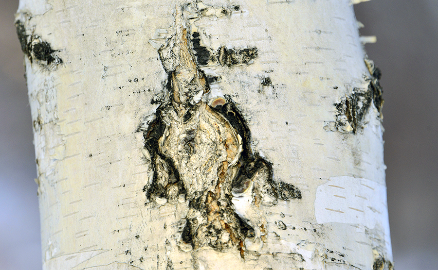 ��������Ȥͼ (5)������������ɽ.jpg