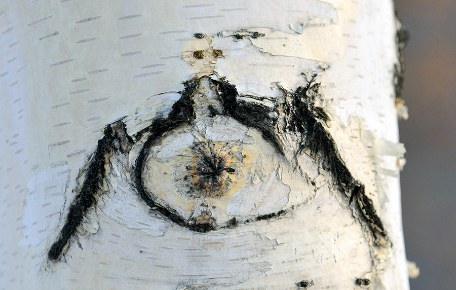 ��������Ȥͼ (6)��ȹ��.jpg