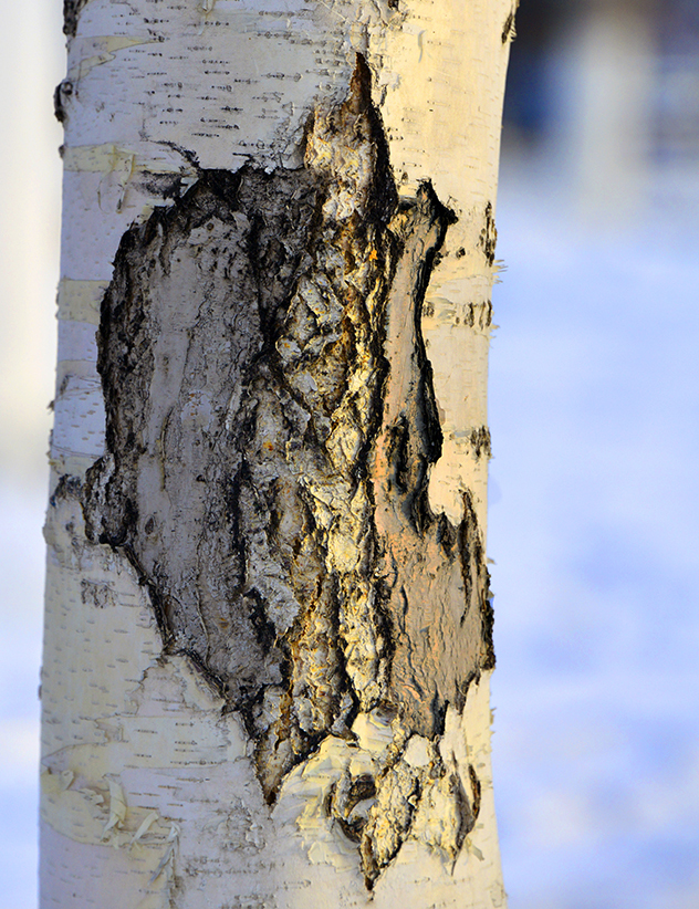 ��������Ȥͼ (7)��ҹ���µĴ���.jpg