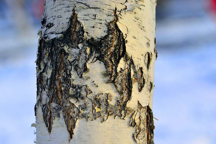 ��������Ȥͼ (8)ɽˮ��.jpg