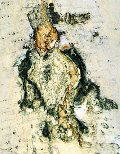 ��������Ȥͼ (5)������������ɽ.jpg