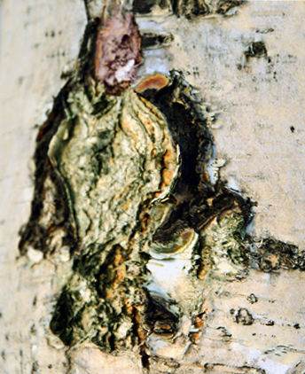 ��������Ȥͼ (4)�糾����.jpg