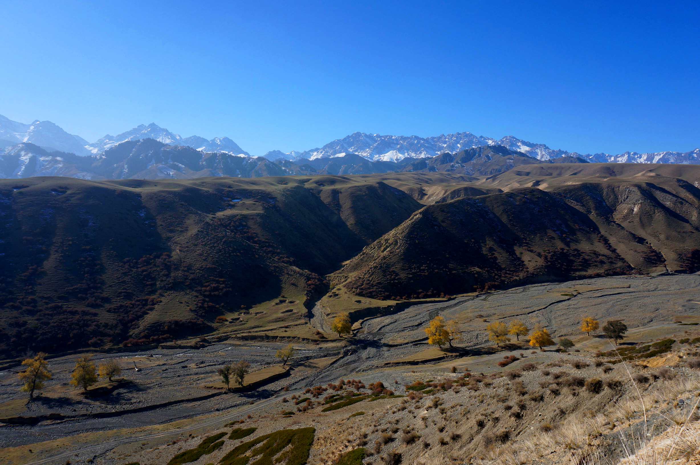 DSC01094 ����_����.jpg