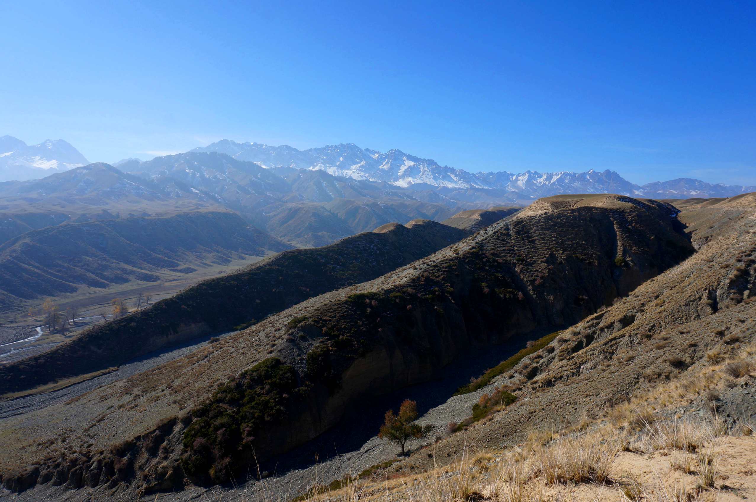 DSC01112 ����_����.jpg