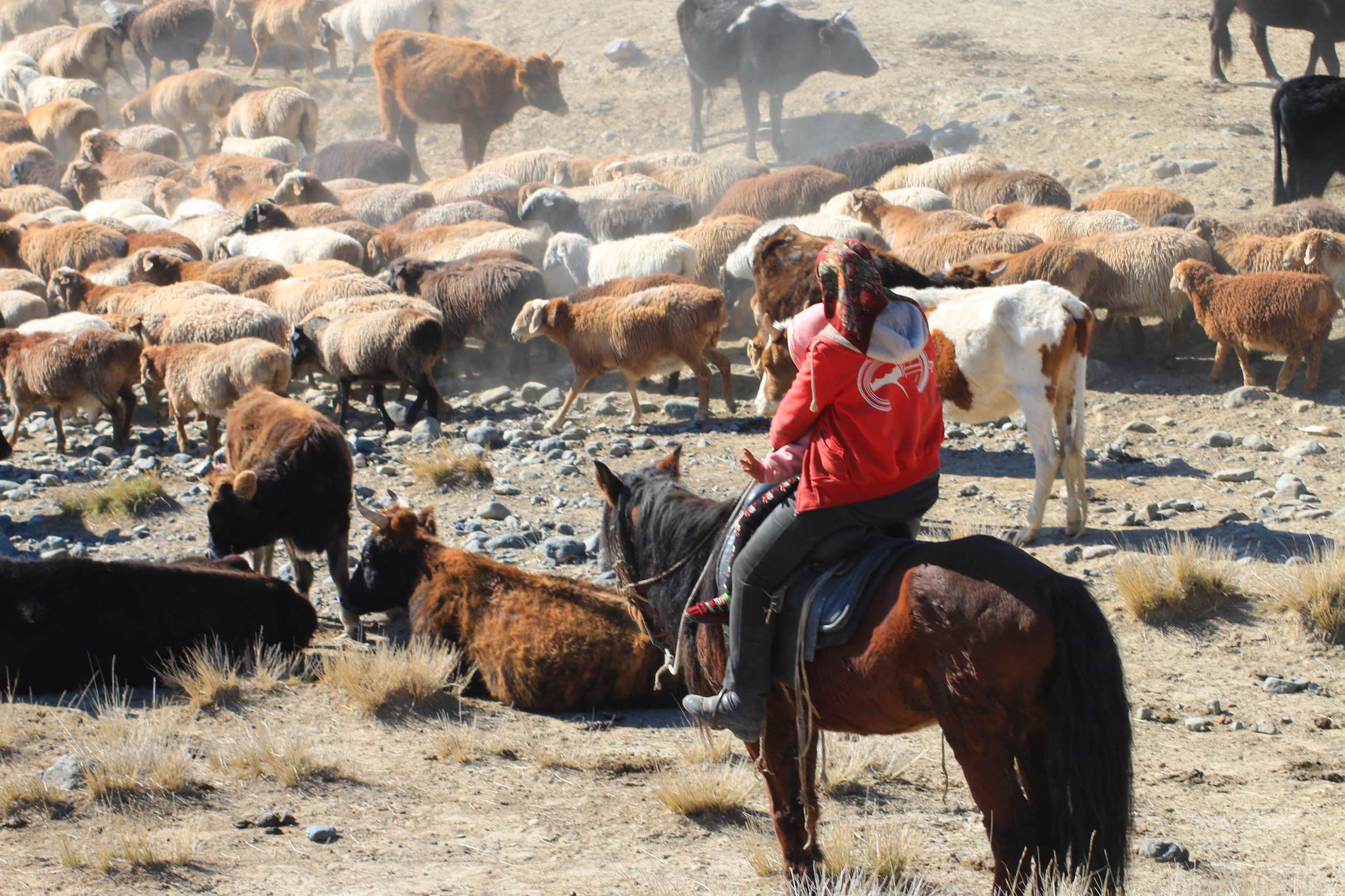 IMG_0058 ����_����.jpg