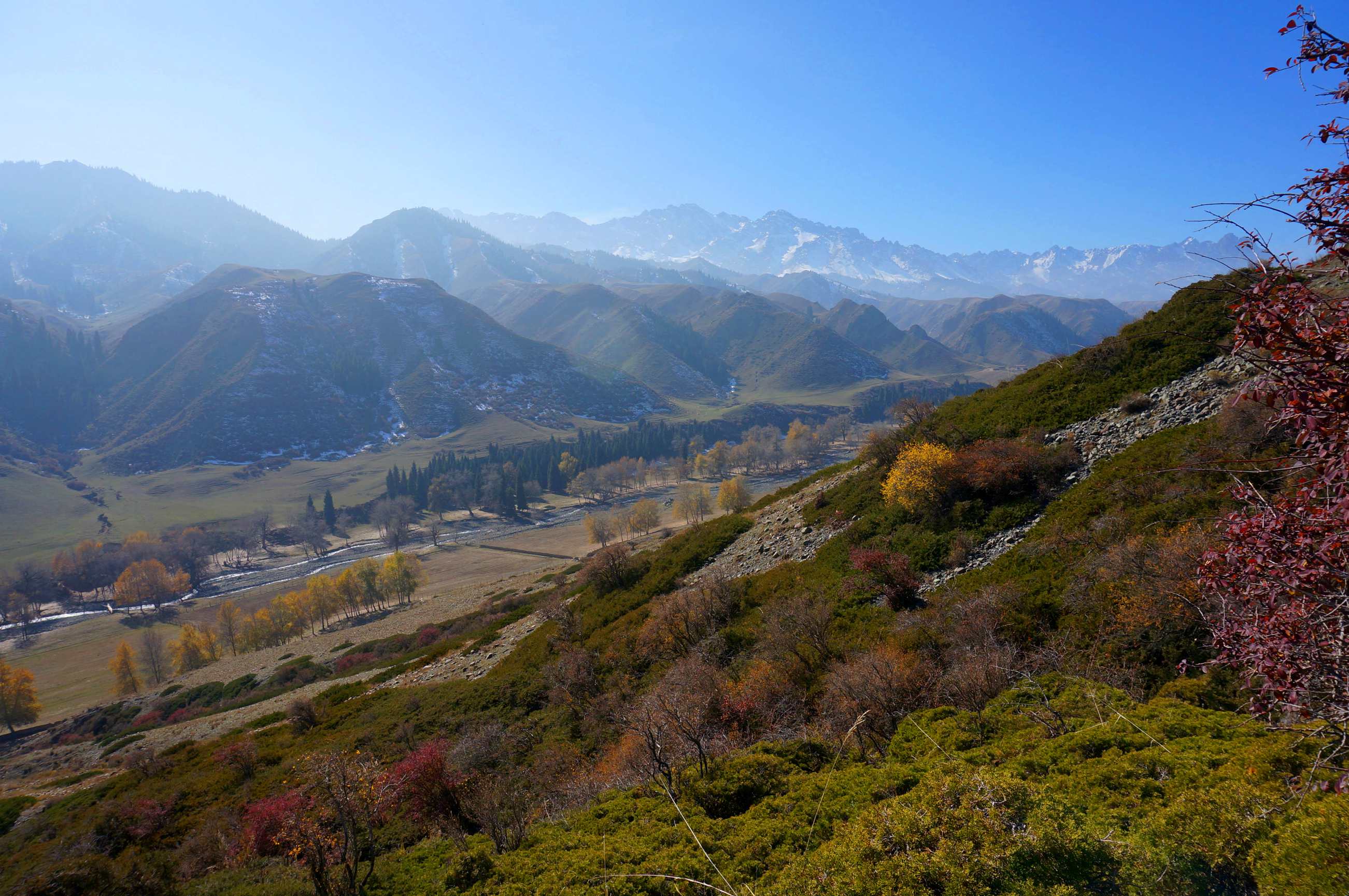 DSC01117 ����_����.jpg