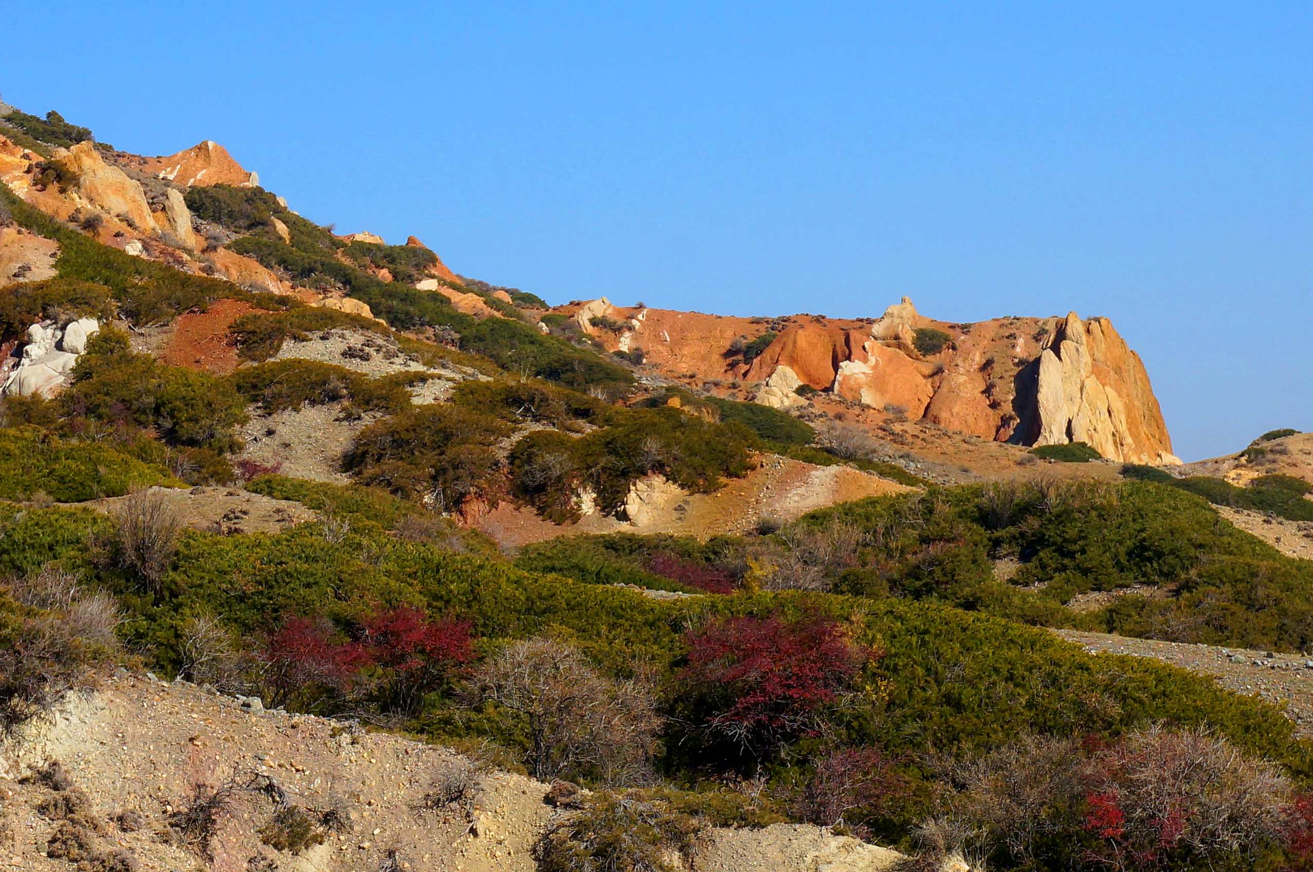 DSC01121 ����_����.jpg