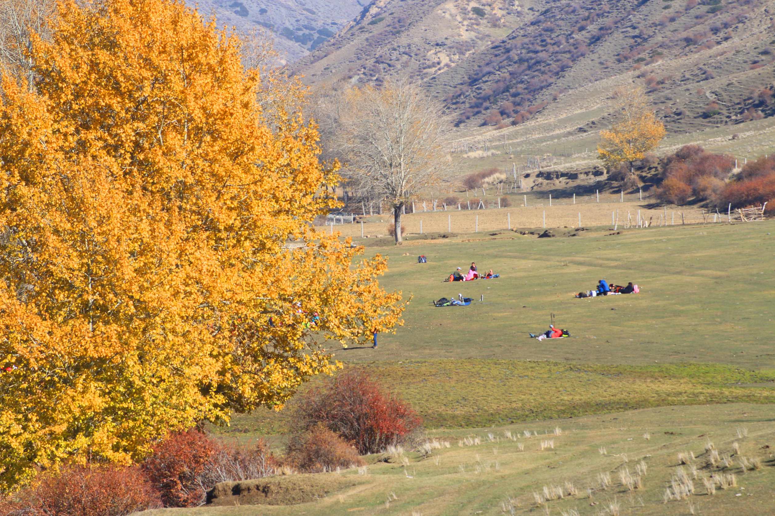 IMG_0105 ����_����.jpg