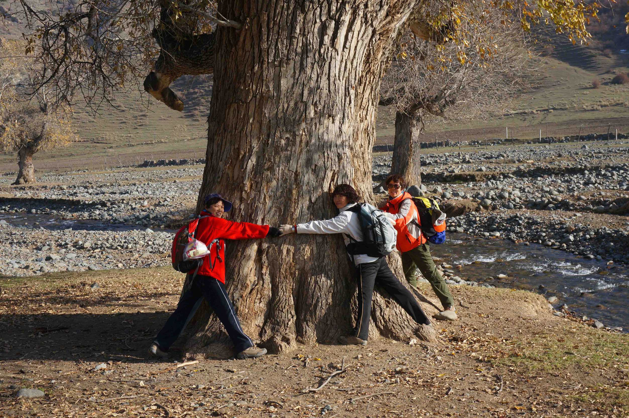 DSC01137 ����_����.jpg