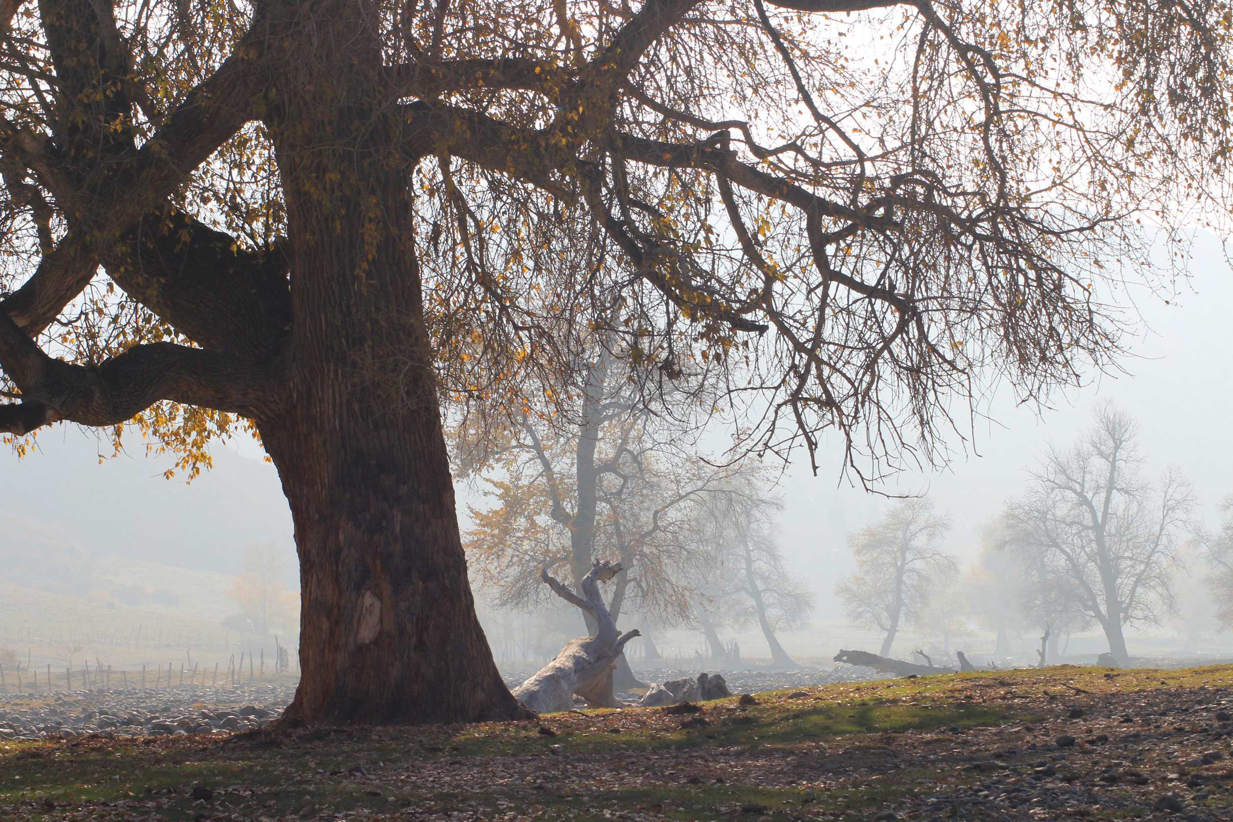 IMG_0123 ����_����.jpg