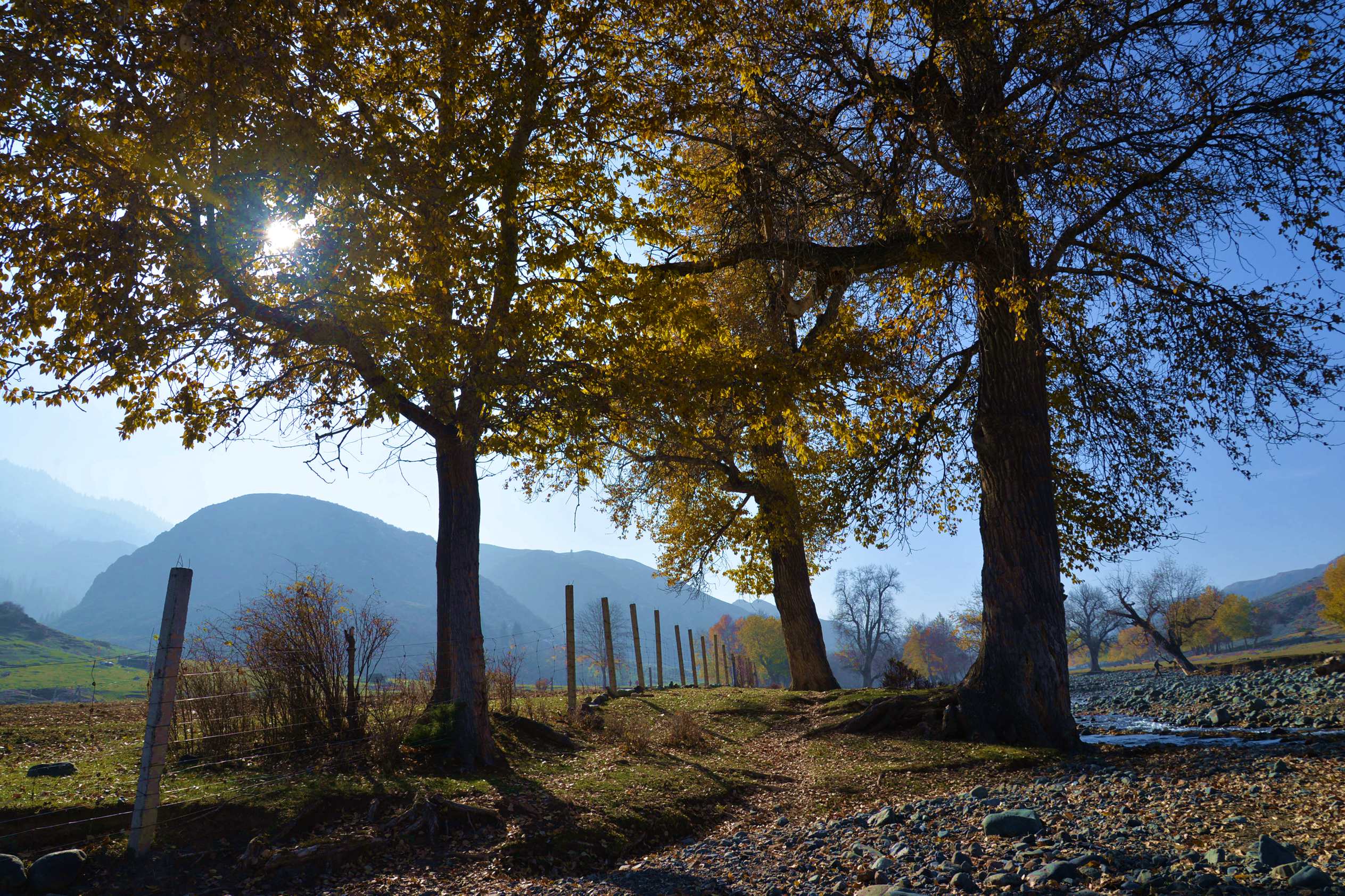 ��Ƭ 330_����.jpg