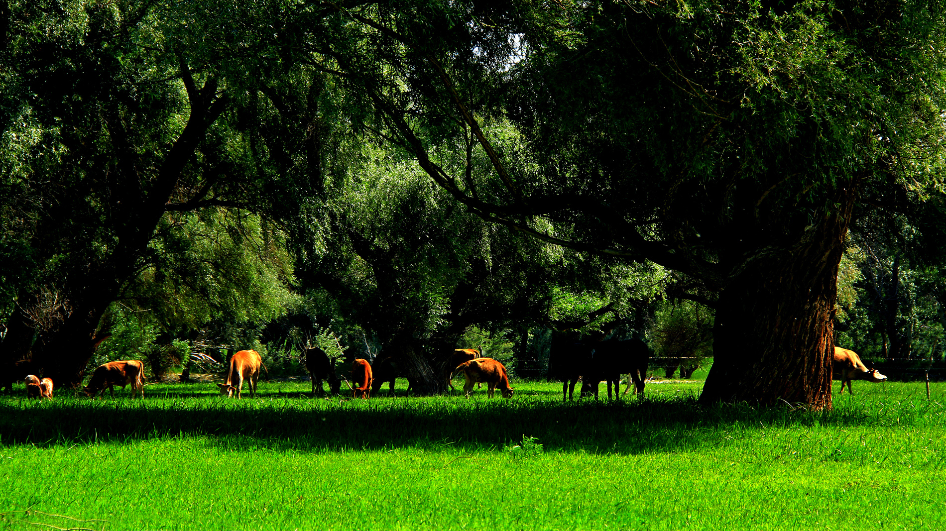 ������裨һ�� (1).jpg