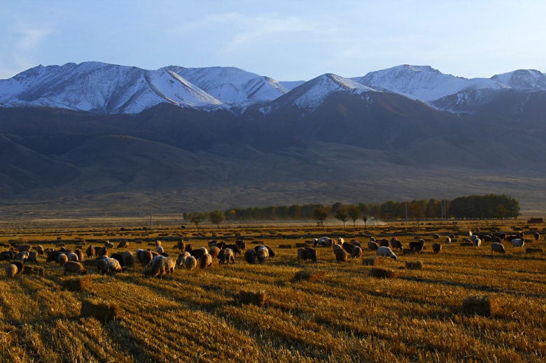 ����֮�������