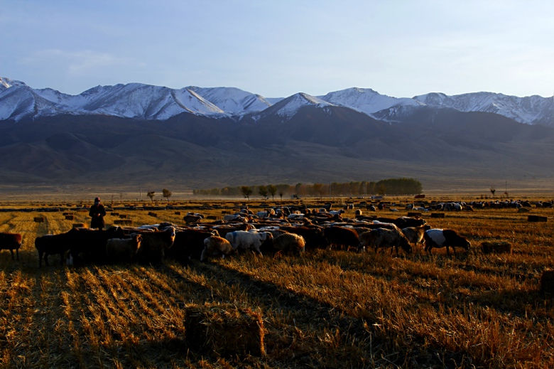 ��ɽ���·�����1