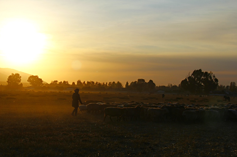 ��Ұ������