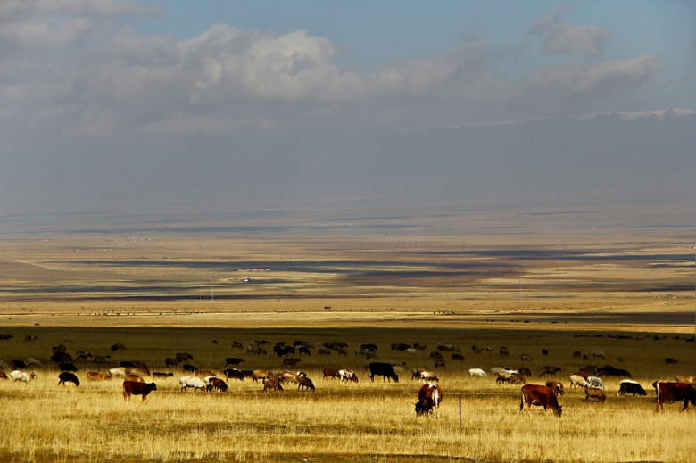 ���պ����Ұ