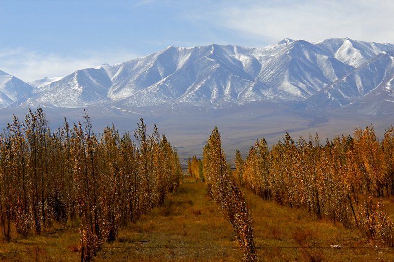 ѩ����ϴ��