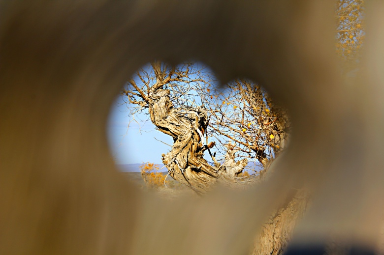 С���ڴ�����