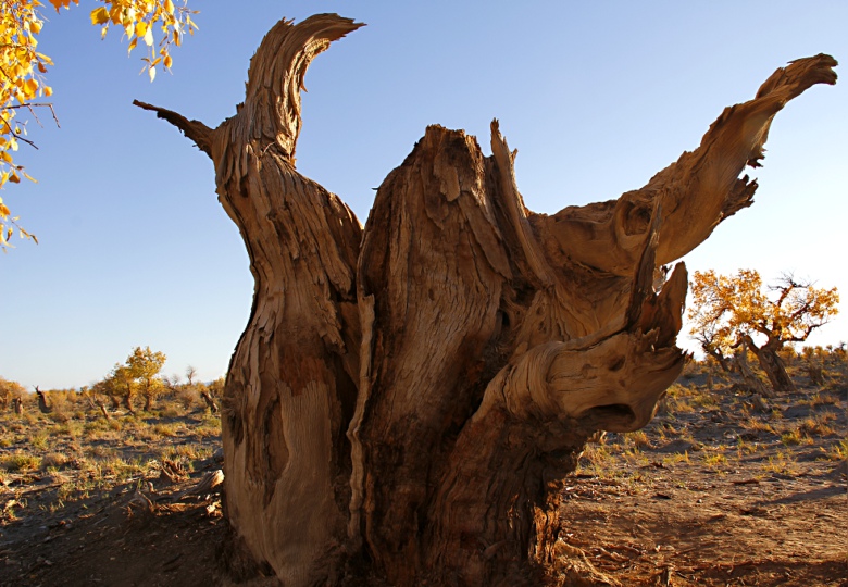 ��Ҫչ��߷�