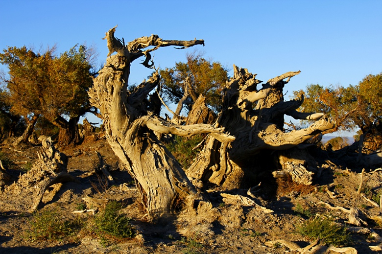 �����ľ���