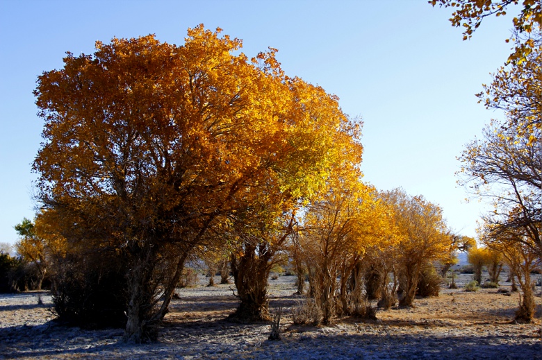 �޷���˯������