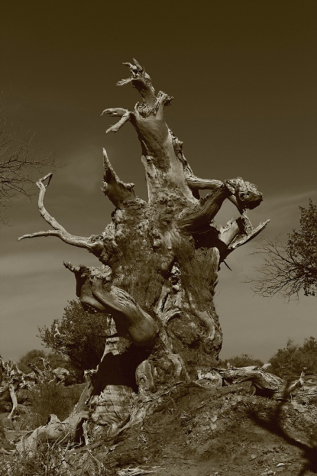 �����ľ���