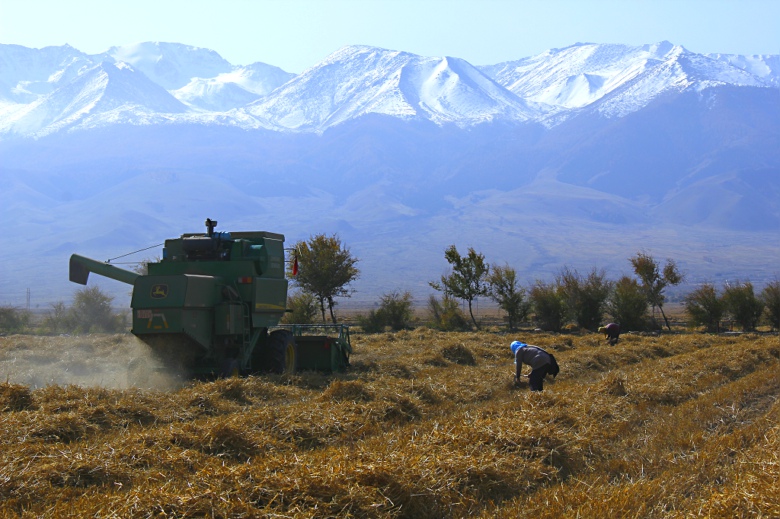 ���յļ���