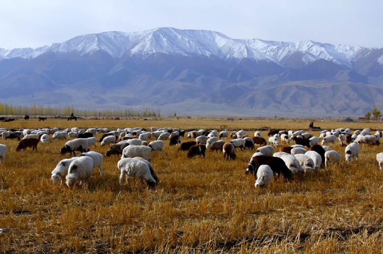 ���յļ���