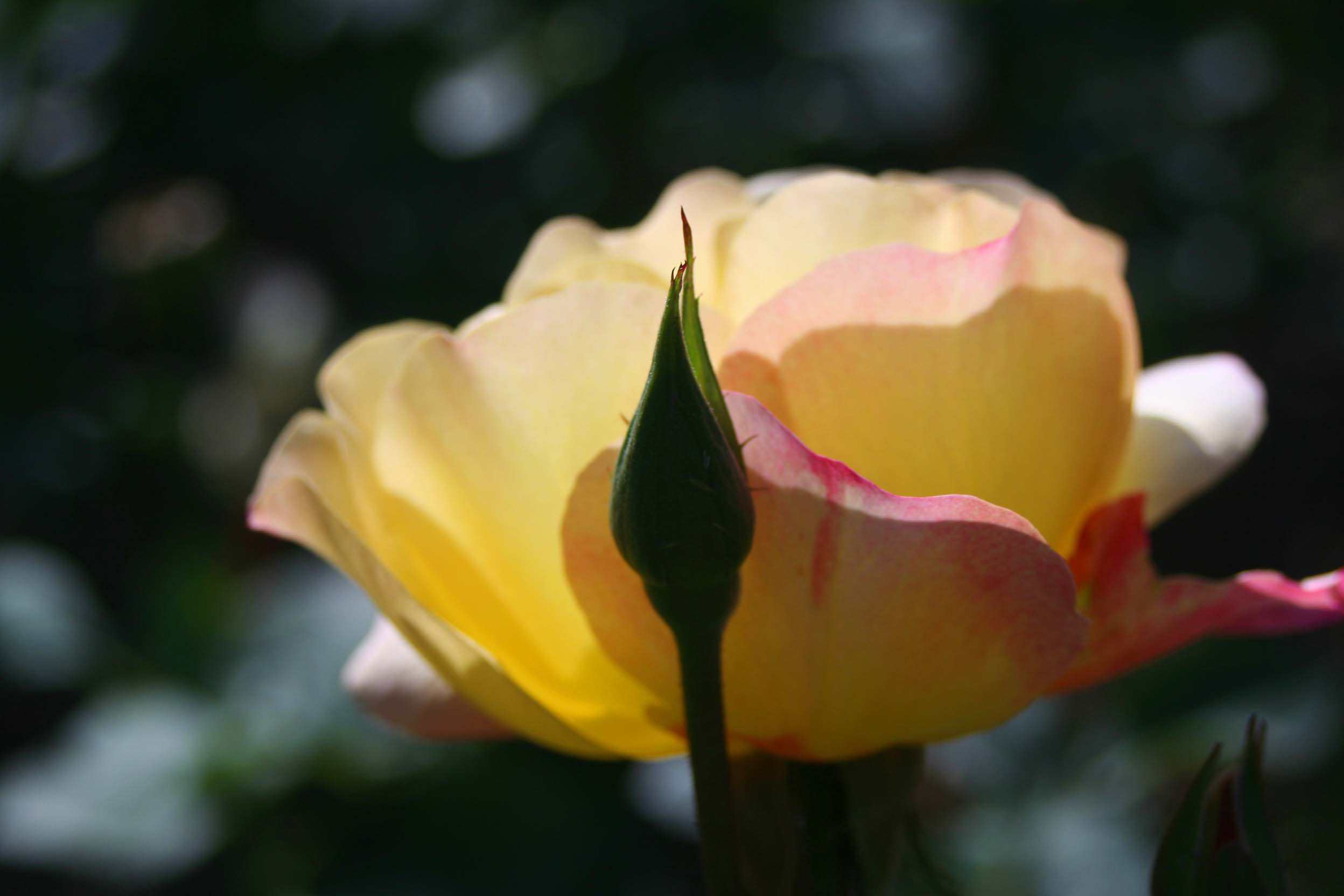 IMG_0877 ����_����.jpg