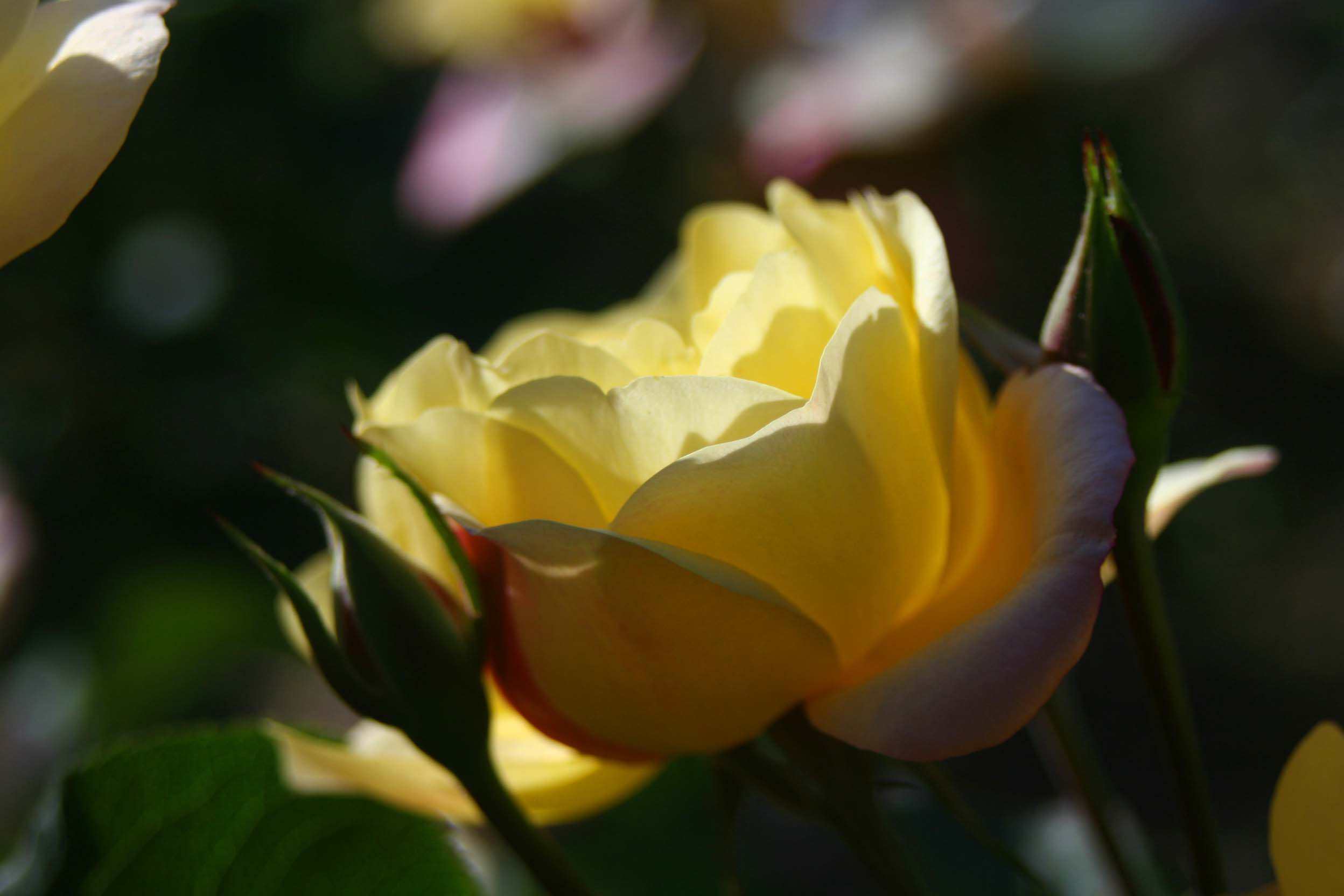 IMG_0892 ����_����.jpg