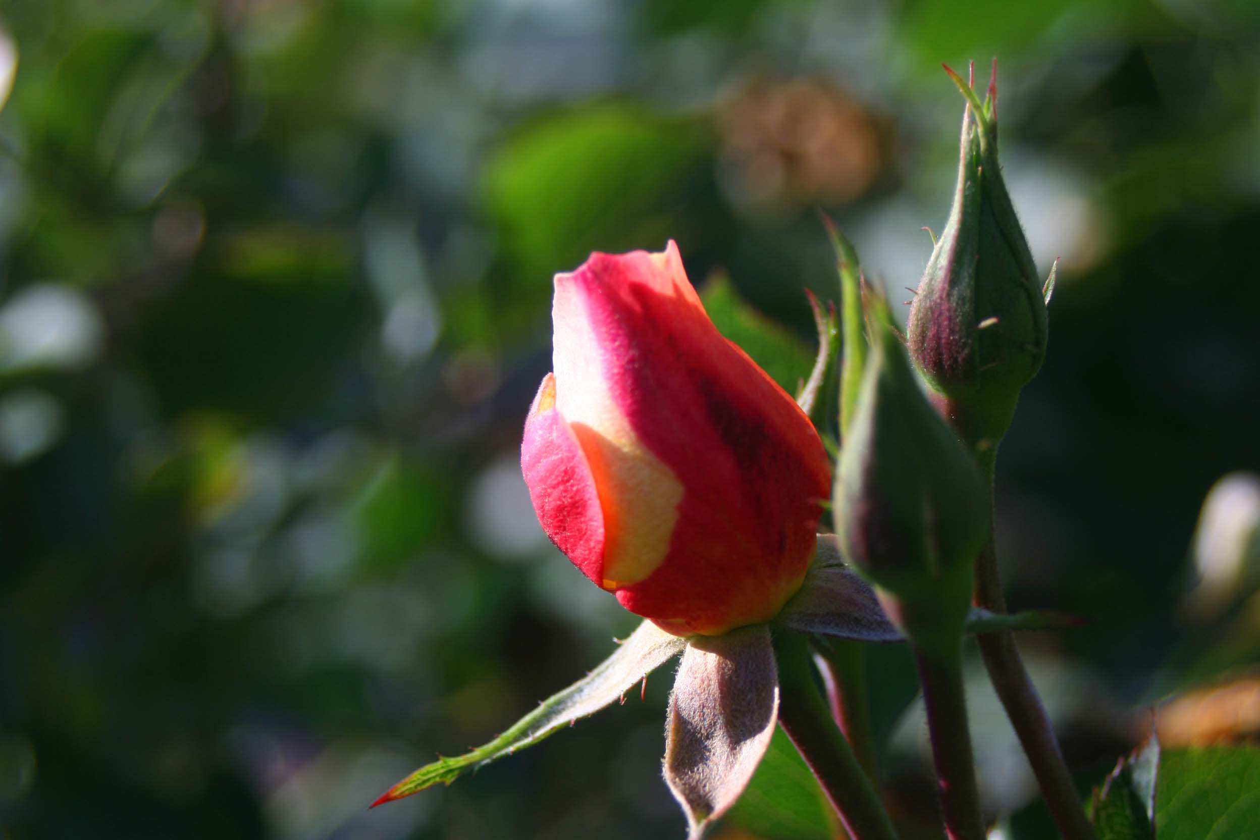 IMG_0894 ����_����.jpg