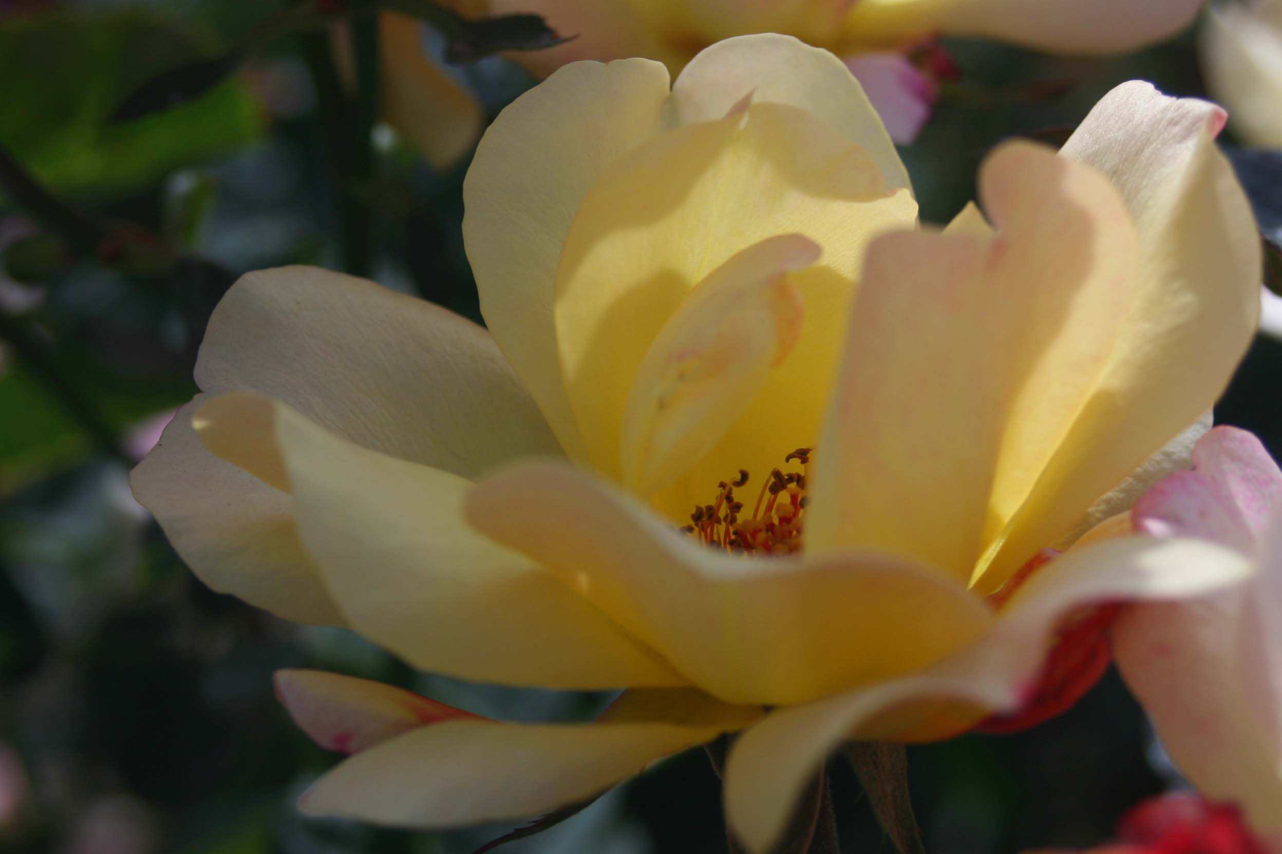 IMG_1035 ����_����.jpg