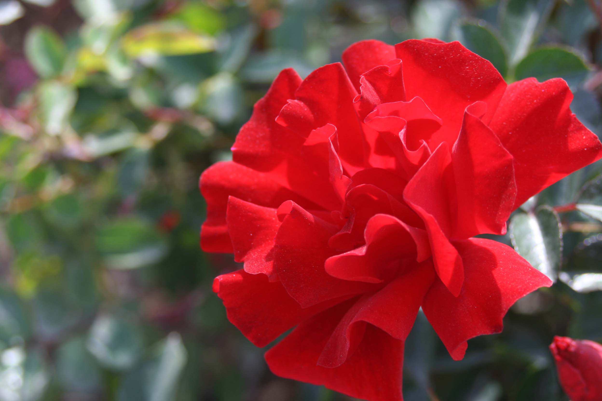 IMG_1059 ����_����.jpg