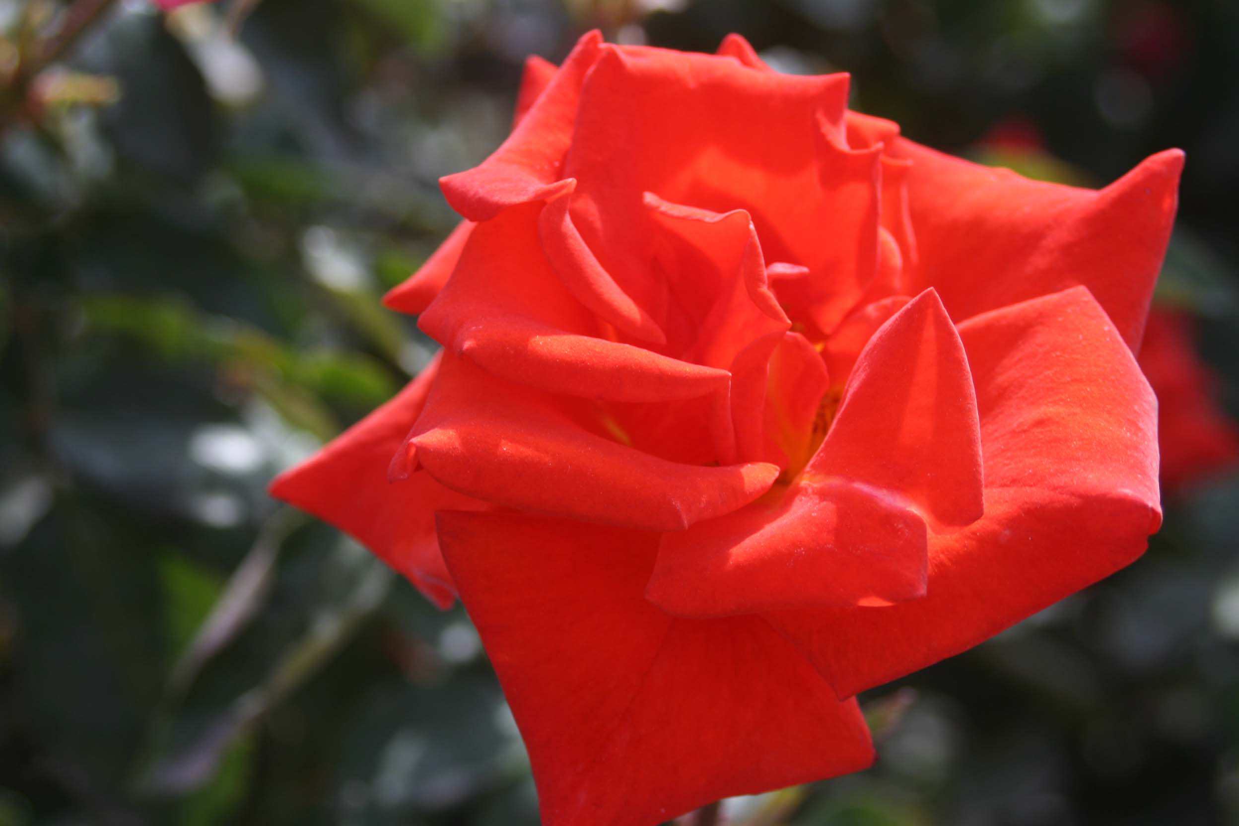 IMG_1061 ����_����.jpg