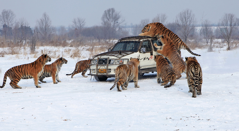 ̫���� 022--.jpg