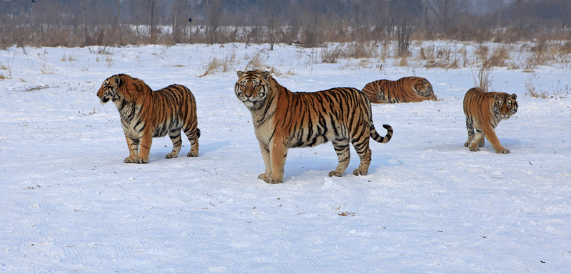 ̫���� 024--.jpg