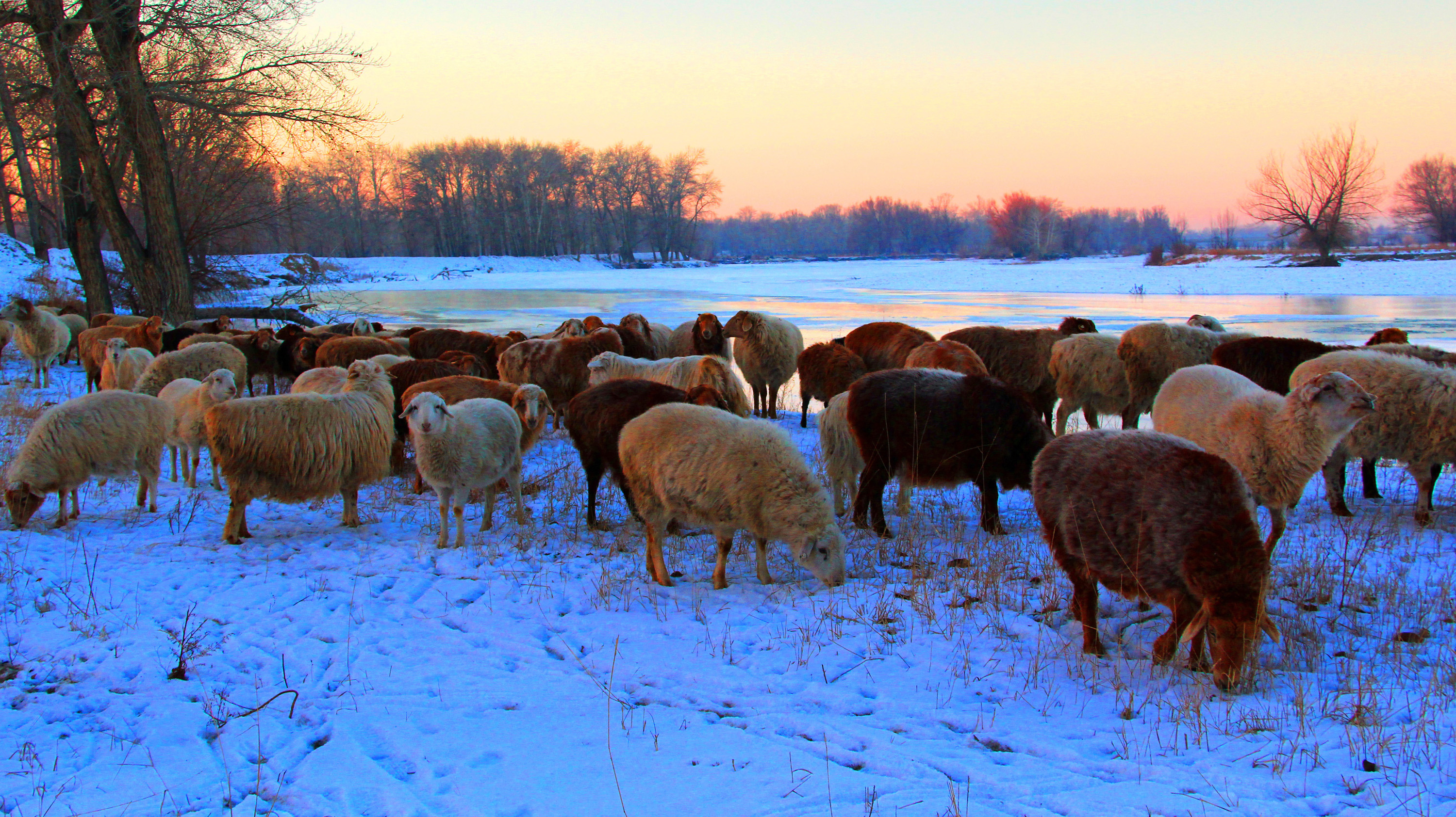 �������裨һ�� (1).jpg