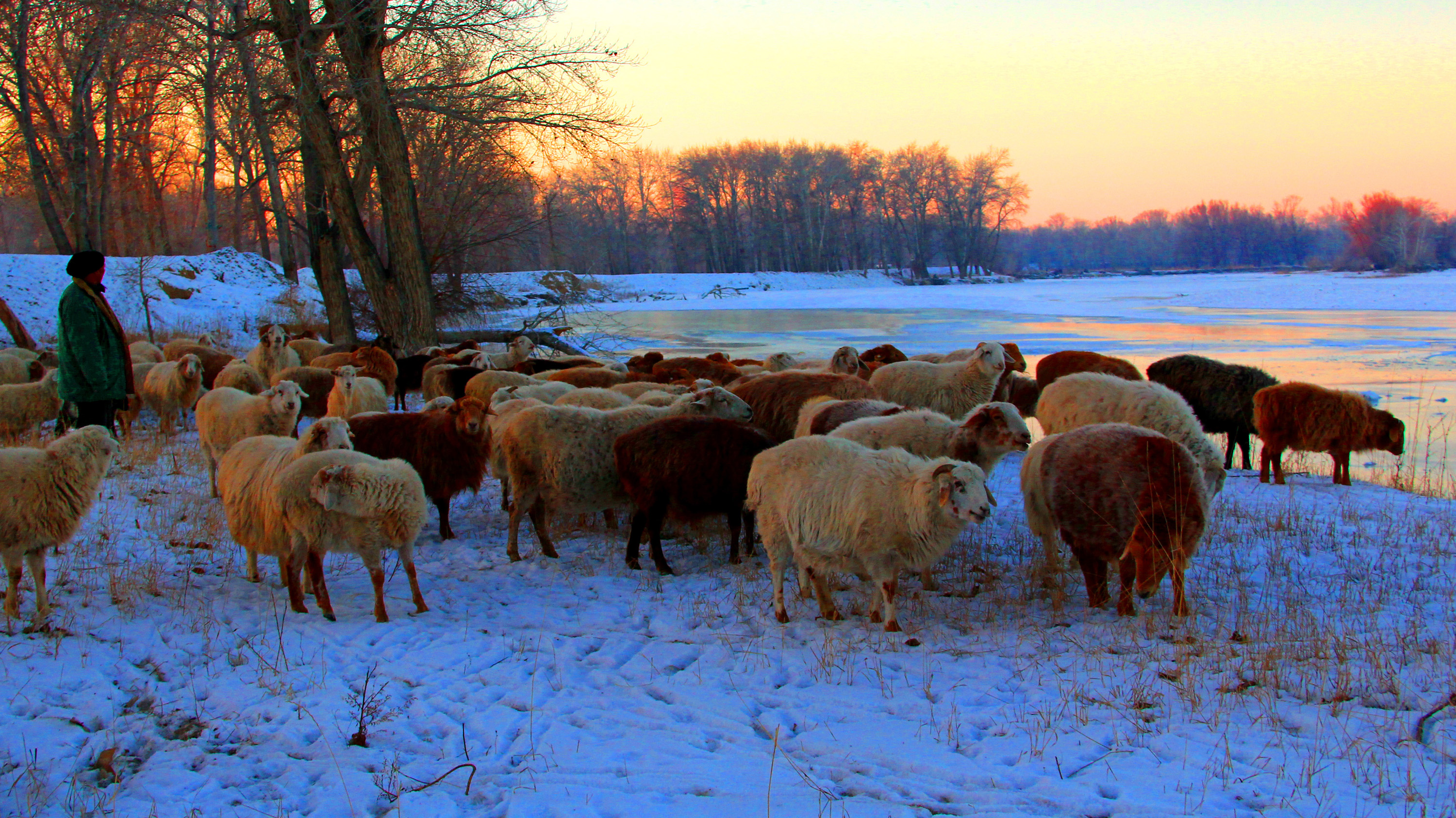 �������裨һ�� (2).jpg