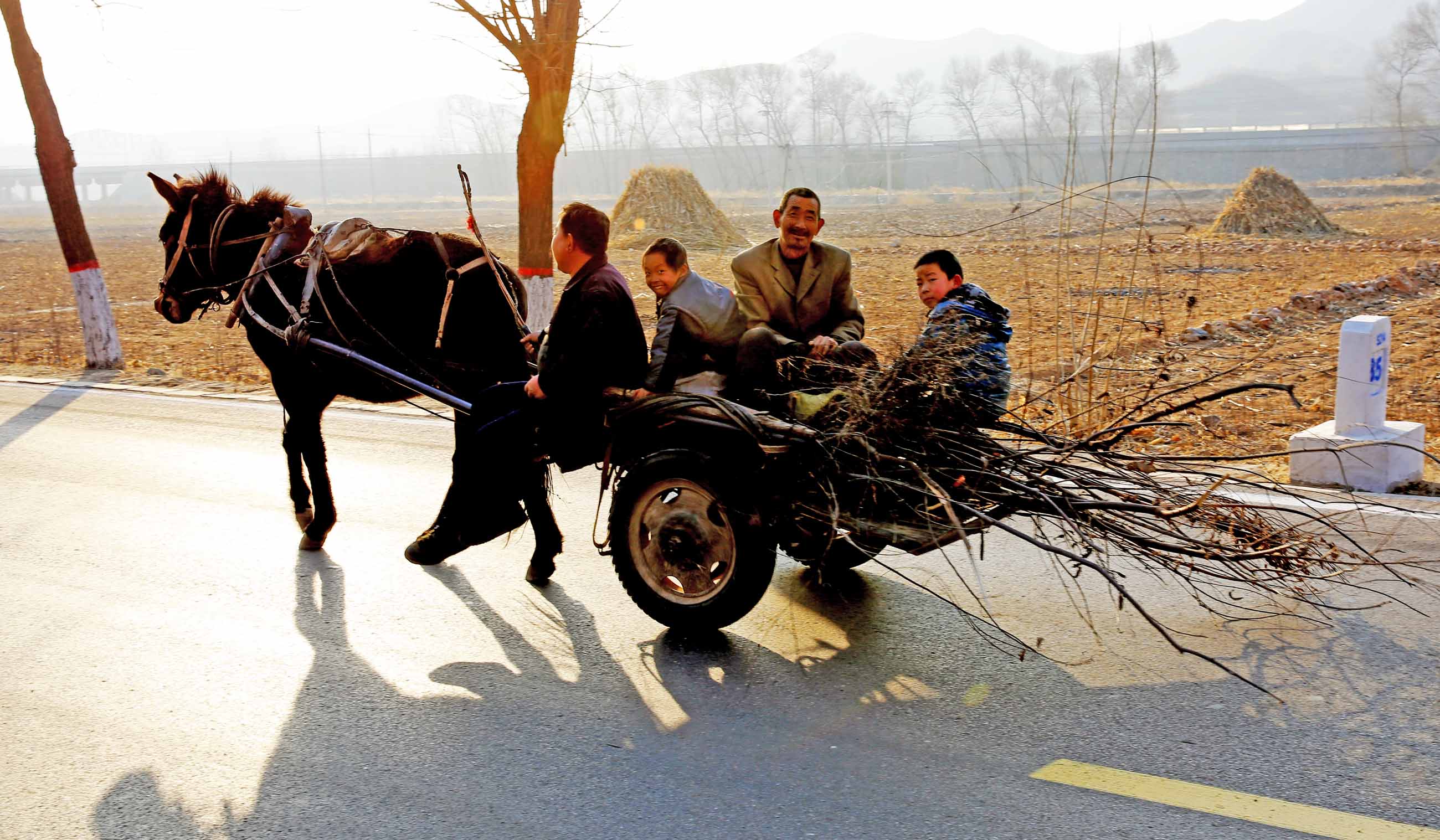 15.1.11 583����.jpg