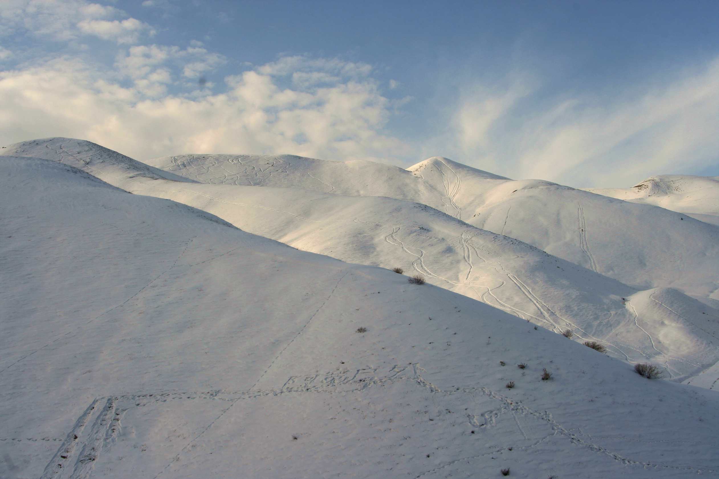 ��Ƭ 370_����.jpg