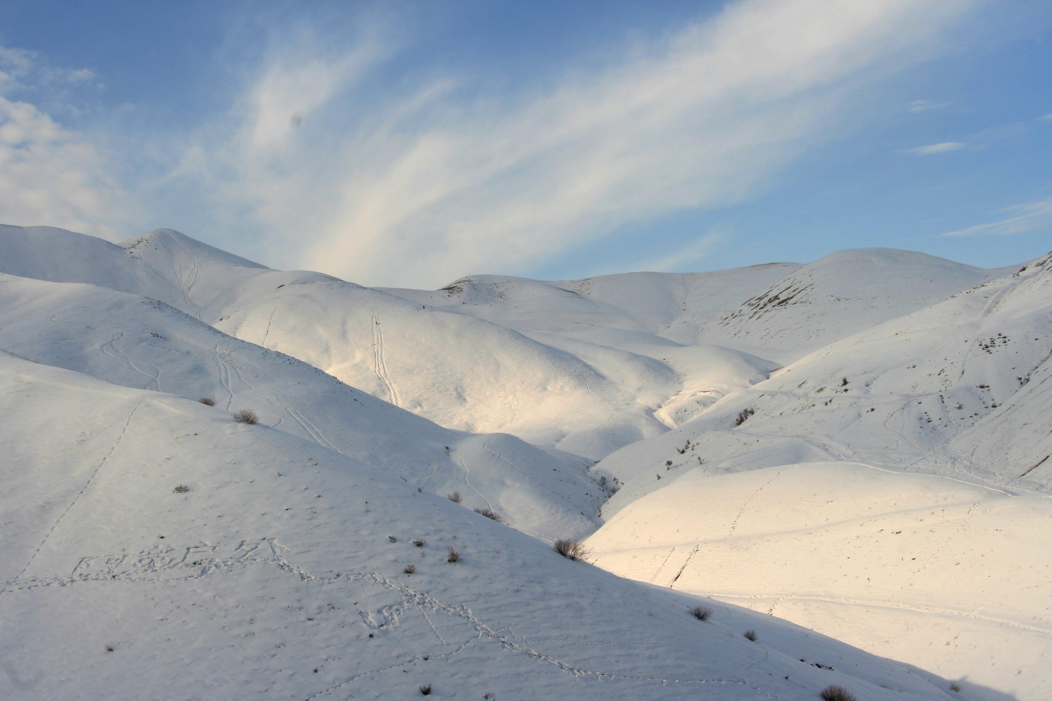 ��Ƭ 376 ����.jpg