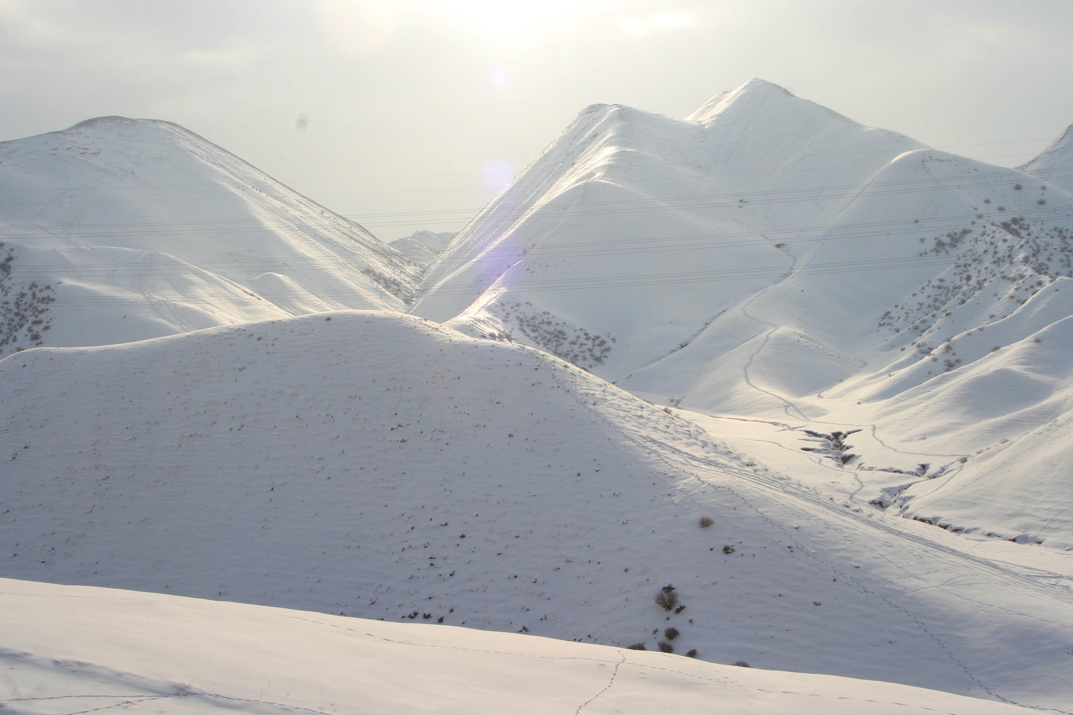 ��Ƭ 381 ����.jpg