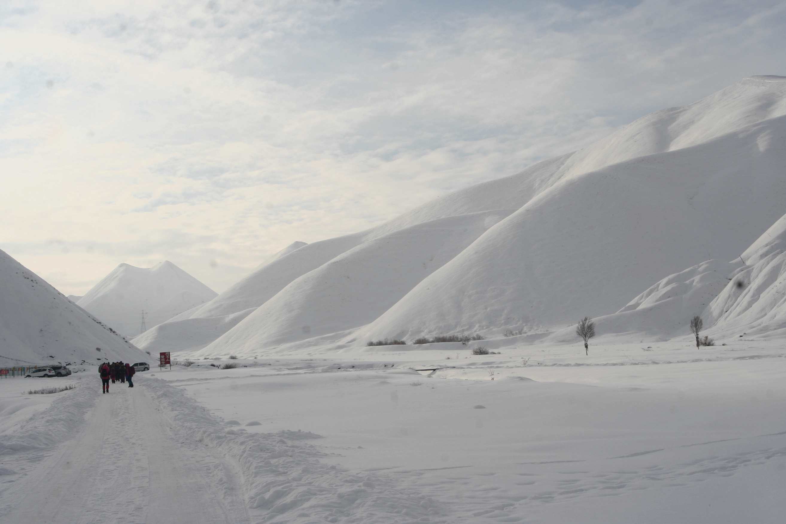 ��Ƭ 317_����.jpg