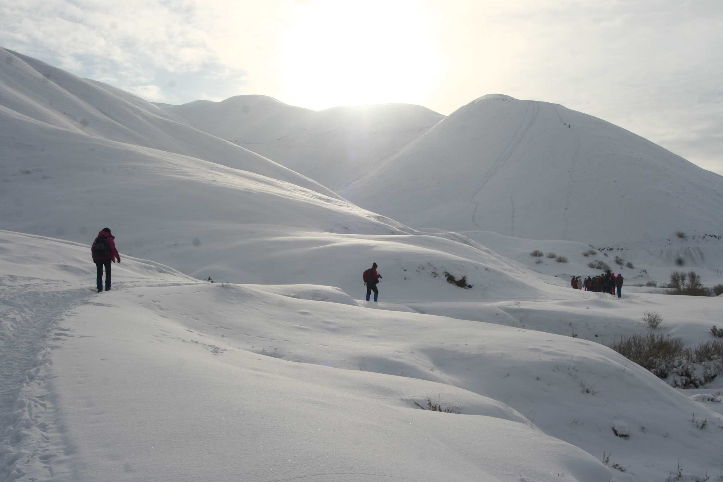 ��Ƭ 323_����.jpg