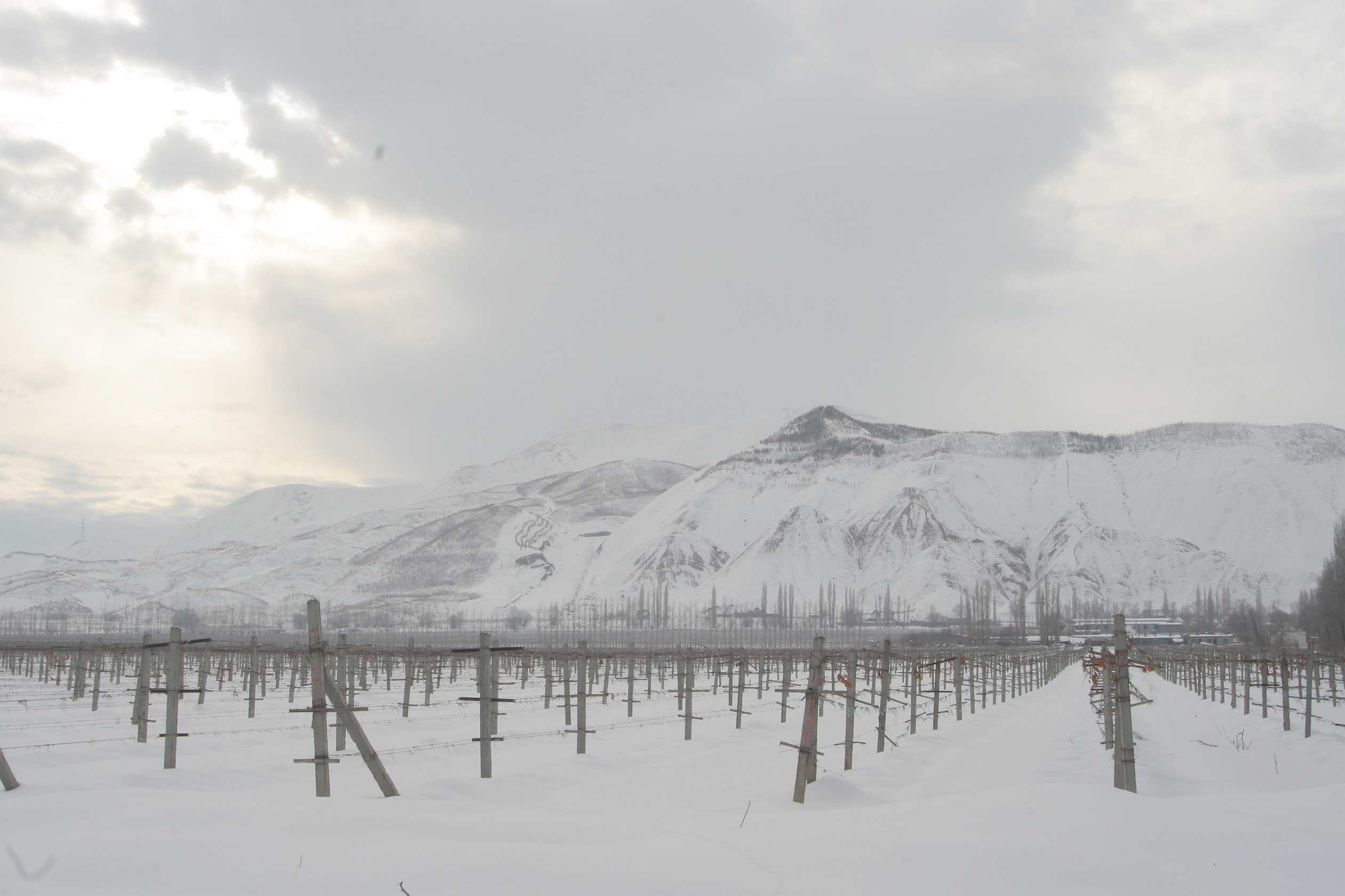 ��Ƭ 355_����.jpg