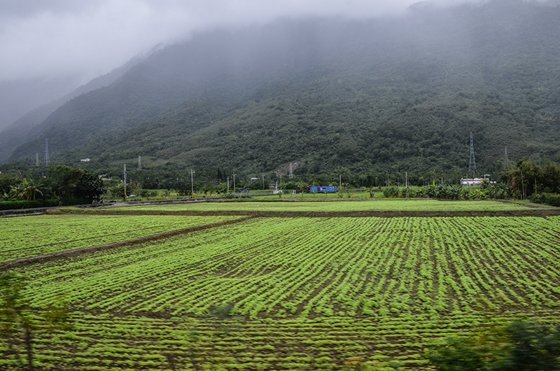2014��12��13��̨�� a9181.jpg