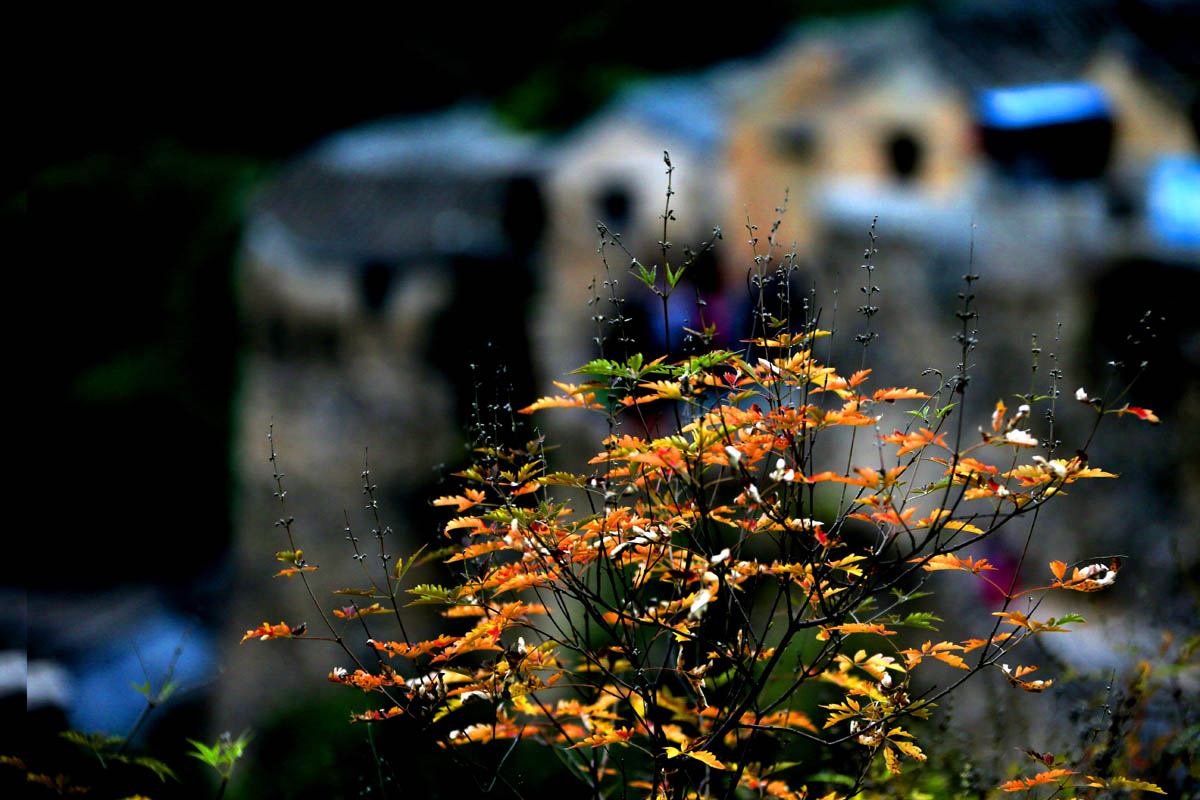 10. ʯկ������ݺ�.jpg