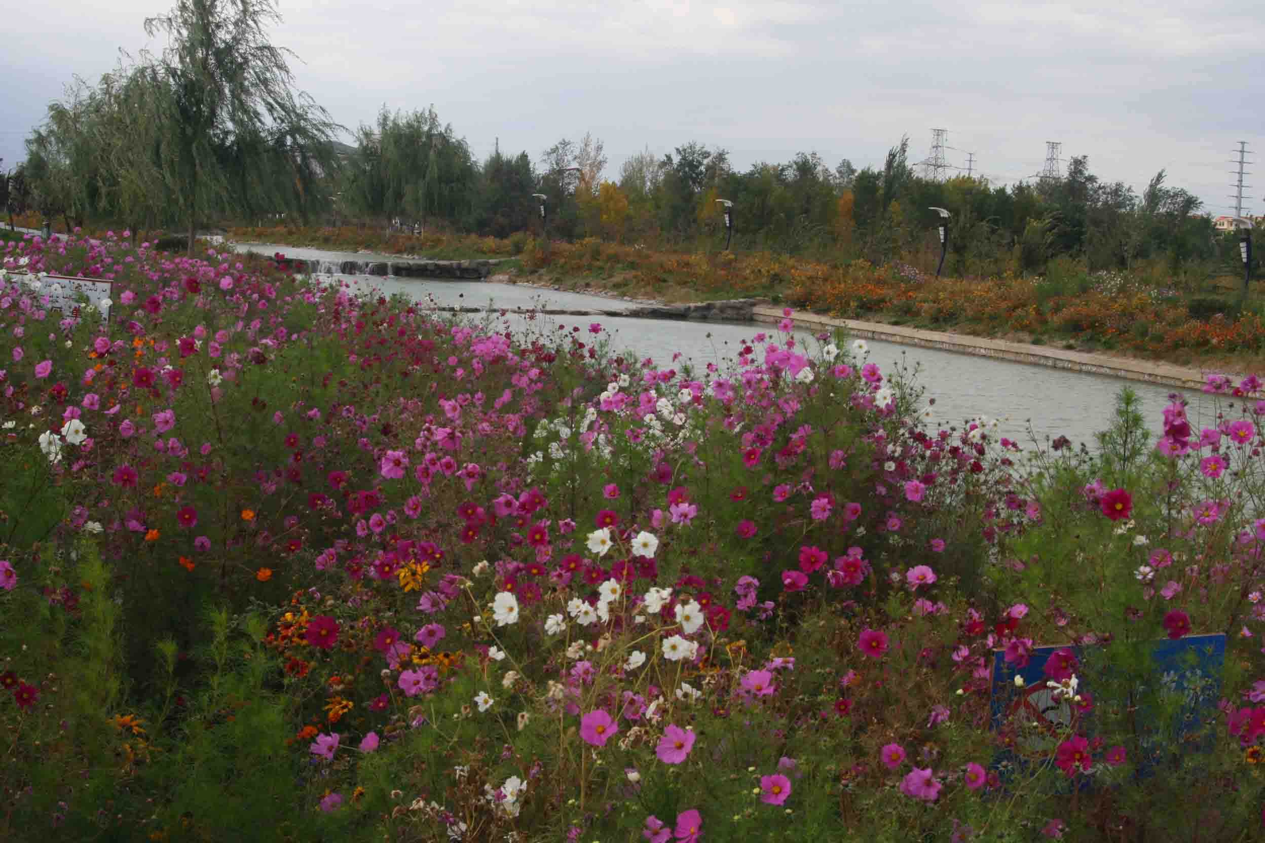 IMG_1104 ����_����.jpg